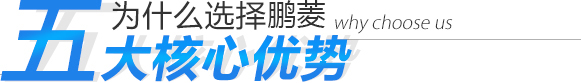 為什么選擇鵬菱 五大核心優(yōu)勢
